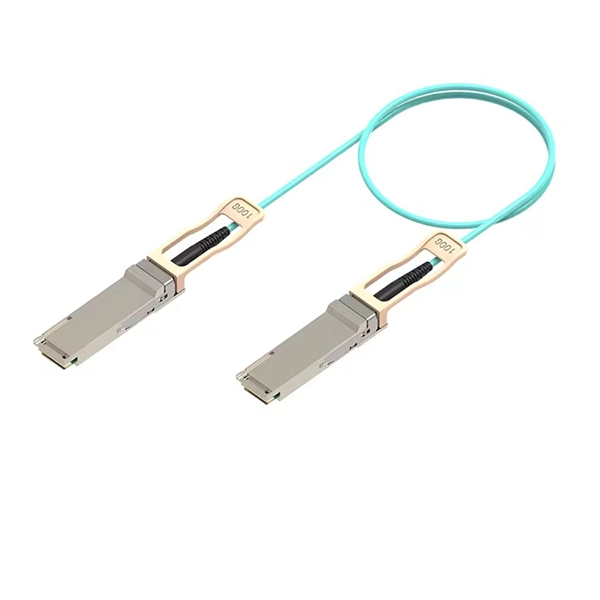 Can a switch have multiple fiber optic ports