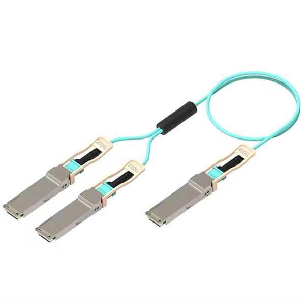 Dual LC to Single LC Interface