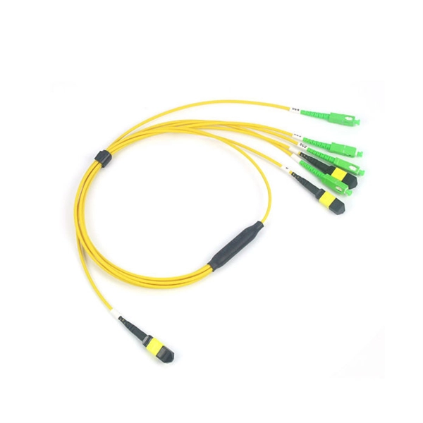 Standard value for fiber optic patch cord speed