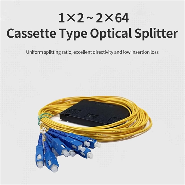 Access Router and Access Switch