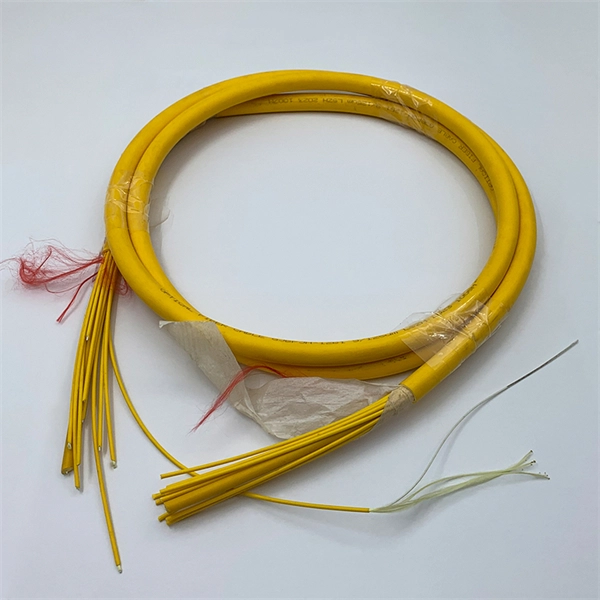 ASUS Router Fiber Optic Setup