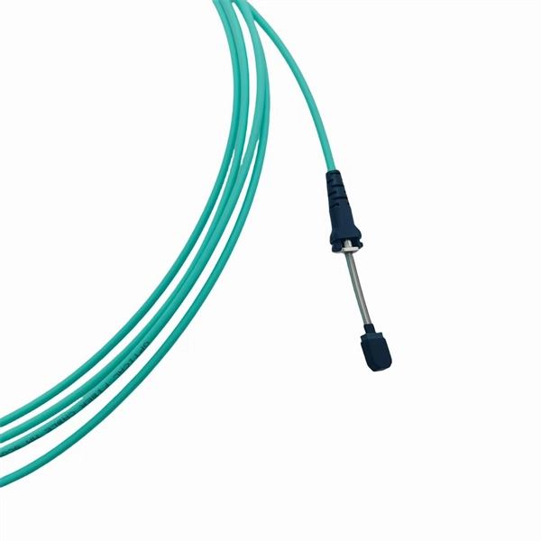 What router should I buy for a 50Mbps fiber optic connection 