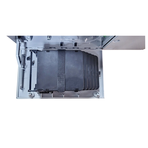 What are the SFP gigabit optical modules 