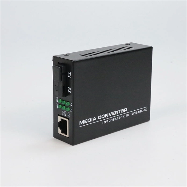 Dual Fiber Optic Module for Switch